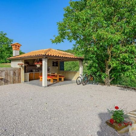 Guesthouse Gospodi Cerovlje エクステリア 写真